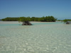 Cuba Bonefish Flats 1